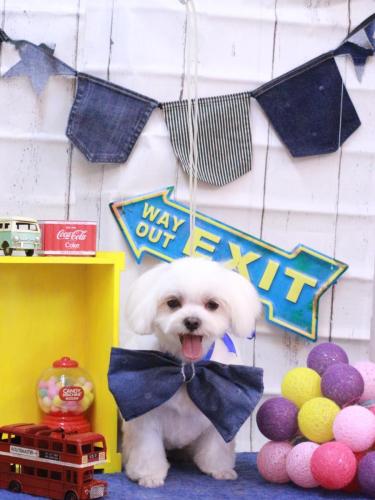 20230429マルちゃん